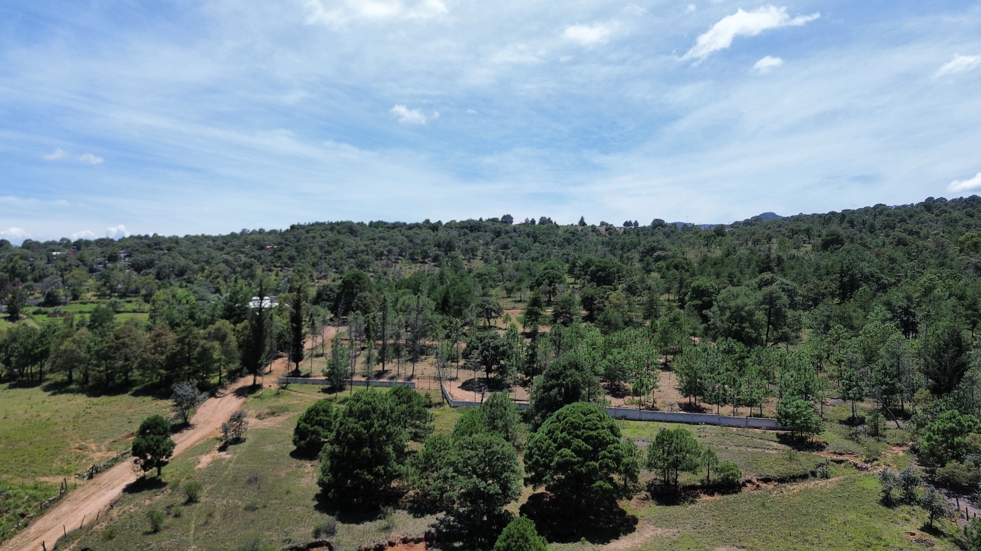 Vista aérea de los terrenos rústicos en el bosque sobre la carretera Amealco–Huimilpan, Querétaro
